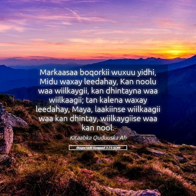 Picture 05 - Boqorradii Kowaad 3:23 SOM - Markaasaa boqorkii wuxuu yidhi, Midu waxay - Bible Verse Picture