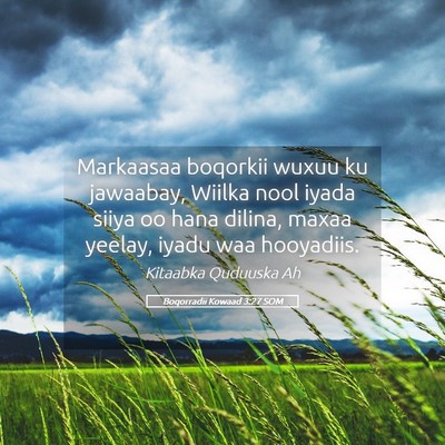 Picture 05 - Boqorradii Kowaad 3:27 SOM - Markaasaa boqorkii wuxuu ku jawaabay, Wiilka nool - Bible Verse Picture