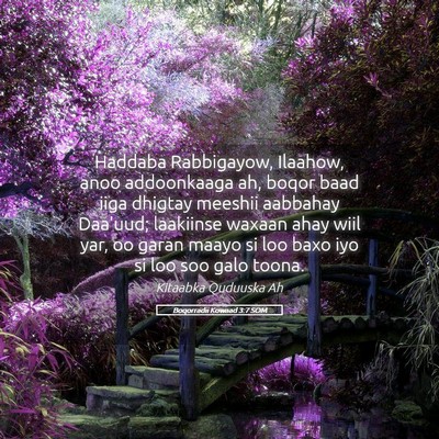 Picture 05 - Boqorradii Kowaad 3:7 SOM - Haddaba Rabbigayow, Ilaahow, anoo addoonkaaga ah, - Bible Verse Picture