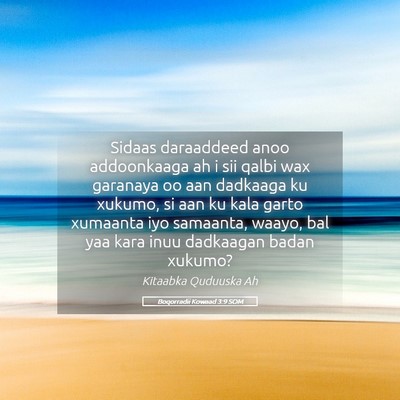 Picture 05 - Boqorradii Kowaad 3:9 SOM - Sidaas daraaddeed anoo addoonkaaga ah i sii qalbi - Bible Verse Picture