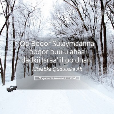 Picture 05 - Boqorradii Kowaad 4:1 SOM - Oo Boqor Sulaymaanna boqor buu u ahaa dadkii - Bible Verse Picture