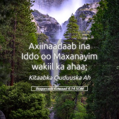 Picture 05 - Boqorradii Kowaad 4:14 SOM - Axiinaadaab ina Iddo oo Maxanayim wakiil ka - Bible Verse Picture