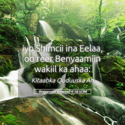 Picture 05 - Boqorradii Kowaad 4:18 SOM - iyo Shimcii ina Eelaa, oo reer Benyaamiin wakiil - Bible Verse Picture