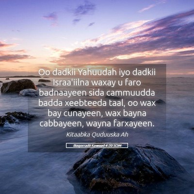 Picture 05 - Boqorradii Kowaad 4:20 SOM - Oo dadkii Yahuudah iyo dadkii Israa'iilna waxay u - Bible Verse Picture
