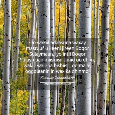 Picture 05 - Boqorradii Kowaad 4:27 SOM - Oo wakiilladaasuna waxay masruuf u keeni jireen - Bible Verse Picture