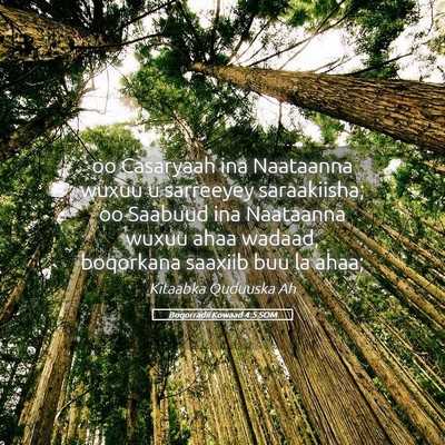 Picture 05 - Boqorradii Kowaad 4:5 SOM - oo Casaryaah ina Naataanna wuxuu u sarreeyey - Bible Verse Picture