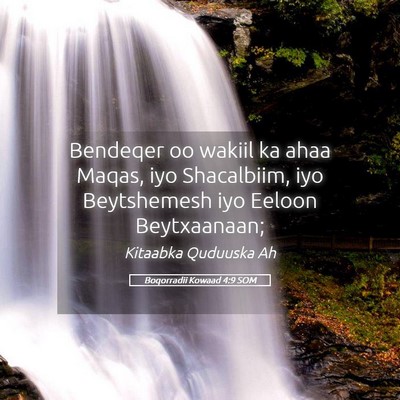 Picture 05 - Boqorradii Kowaad 4:9 SOM - Bendeqer oo wakiil ka ahaa Maqas, iyo Shacalbiim, - Bible Verse Picture
