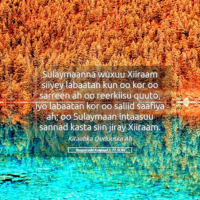 Picture 05 - Boqorradii Kowaad 5:11 SOM - Sulaymaanna wuxuu Xiiraam siiyey labaatan kun oo - Bible Verse Picture