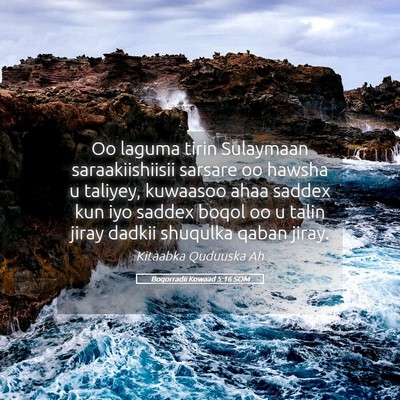 Picture 05 - Boqorradii Kowaad 5:16 SOM - Oo laguma tirin Sulaymaan saraakiishiisii sarsare - Bible Verse Picture
