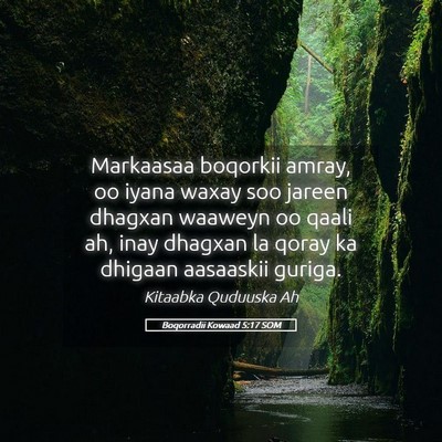 Picture 05 - Boqorradii Kowaad 5:17 SOM - Markaasaa boqorkii amray, oo iyana waxay soo - Bible Verse Picture