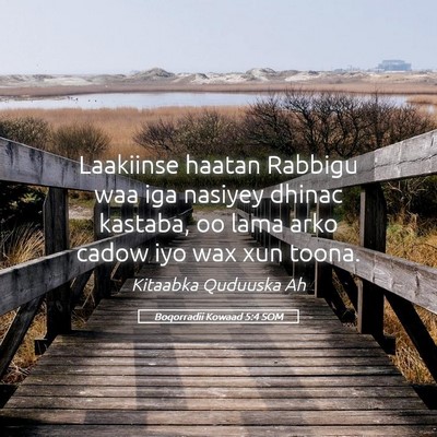 Picture 05 - Boqorradii Kowaad 5:4 SOM - Laakiinse haatan Rabbigu waa iga nasiyey dhinac - Bible Verse Picture