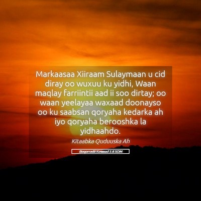 Picture 05 - Boqorradii Kowaad 5:8 SOM - Markaasaa Xiiraam Sulaymaan u cid diray oo wuxuu - Bible Verse Picture