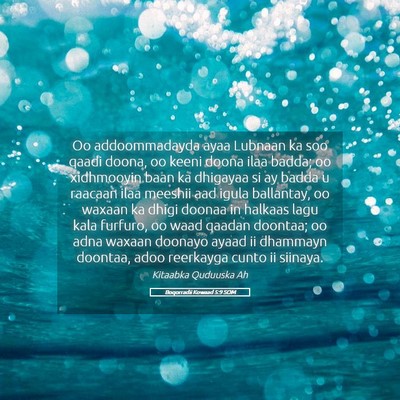 Picture 05 - Boqorradii Kowaad 5:9 SOM - Oo addoommadayda ayaa Lubnaan ka soo qaadi doona, - Bible Verse Picture