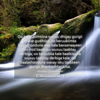 Picture 05 - Boqorradii Kowaad 6:27 SOM - Oo keruubiimtiina wuxuu dhigay gurigii dhexe - Bible Verse Picture