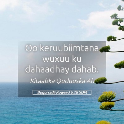 Picture 05 - Boqorradii Kowaad 6:28 SOM - Oo keruubiimtana wuxuu ku dahaadhay - Bible Verse Picture