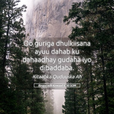 Picture 05 - Boqorradii Kowaad 6:30 SOM - Oo guriga dhulkiisana ayuu dahab ku dahaadhay - Bible Verse Picture