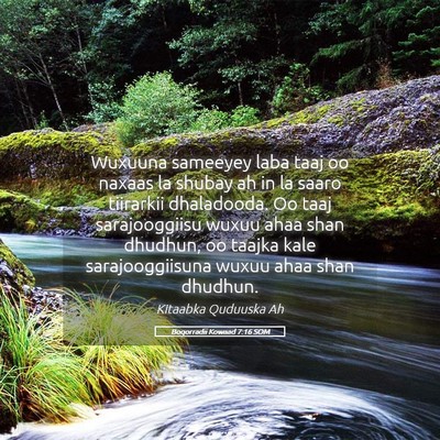 Picture 05 - Boqorradii Kowaad 7:16 SOM - Wuxuuna sameeyey laba taaj oo naxaas la shubay ah - Bible Verse Picture