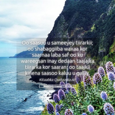 Picture 05 - Boqorradii Kowaad 7:18 SOM - Oo saasuu u sameeyey tiirarkii; oo shabaggiiba - Bible Verse Picture