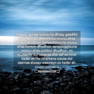 Picture 05 - Boqorradii Kowaad 7:2 SOM - Waayo, guriga wuxuu ka dhisay geedihii Lubnaan, - Bible Verse Picture