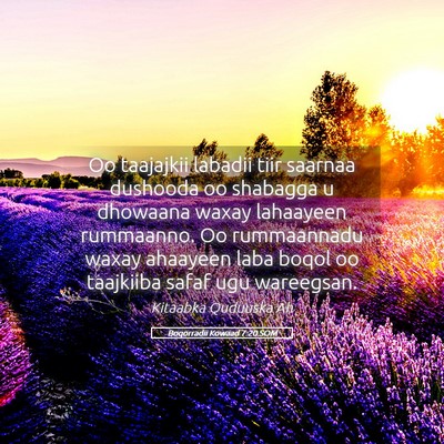 Picture 05 - Boqorradii Kowaad 7:20 SOM - Oo taajajkii labadii tiir saarnaa dushooda oo - Bible Verse Picture