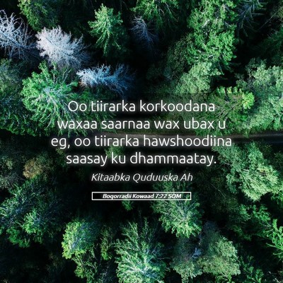 Picture 05 - Boqorradii Kowaad 7:22 SOM - Oo tiirarka korkoodana waxaa saarnaa wax ubax u - Bible Verse Picture