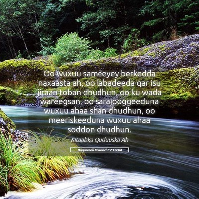 Picture 05 - Boqorradii Kowaad 7:23 SOM - Oo wuxuu sameeyey berkedda naxaasta ah, oo - Bible Verse Picture