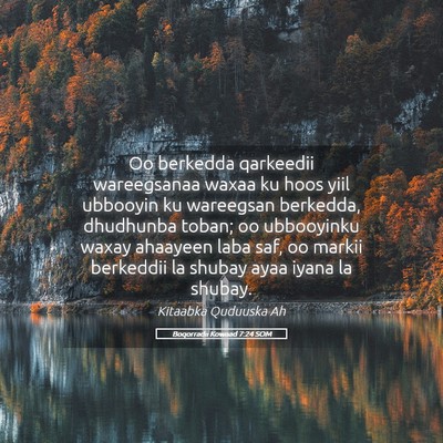 Picture 05 - Boqorradii Kowaad 7:24 SOM - Oo berkedda qarkeedii wareegsanaa waxaa ku hoos - Bible Verse Picture