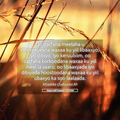 Picture 05 - Boqorradii Kowaad 7:29 SOM - Oo darfaha meelaha u dhexeeyeyna waxaa ku yiil - Bible Verse Picture