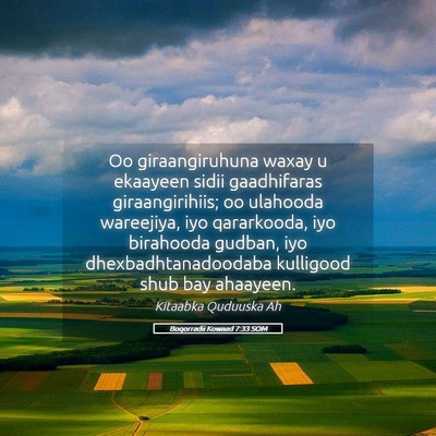 Picture 05 - Boqorradii Kowaad 7:33 SOM - Oo giraangiruhuna waxay u ekaayeen sidii - Bible Verse Picture