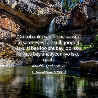 Picture 05 - Boqorradii Kowaad 7:37 SOM - Oo tobankii saldhigna saasuu u sameeyey; oo - Bible Verse Picture