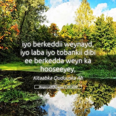Picture 05 - Boqorradii Kowaad 7:44 SOM - iyo berkeddii weynayd, iyo laba iyo tobankii dibi - Bible Verse Picture