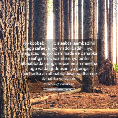 Picture 05 - Boqorradii Kowaad 7:50 SOM - iyo koobabkii, iyo alaabta laambadihii lagu - Bible Verse Picture