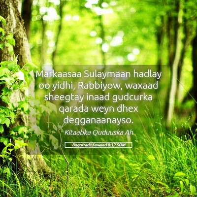 Picture 05 - Boqorradii Kowaad 8:12 SOM - Markaasaa Sulaymaan hadlay oo yidhi, Rabbiyow, - Bible Verse Picture