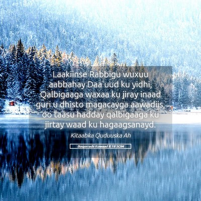 Picture 05 - Boqorradii Kowaad 8:18 SOM - Laakiinse Rabbigu wuxuu aabbahay Daa'uud ku - Bible Verse Picture