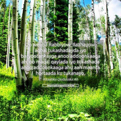 Picture 05 - Boqorradii Kowaad 8:28 SOM - Oo weliba Rabbiyow, Ilaahayow, aqbal tukashadayda - Bible Verse Picture
