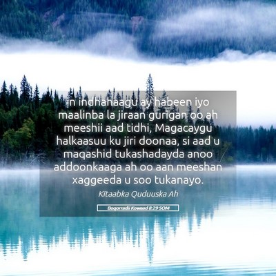 Picture 05 - Boqorradii Kowaad 8:29 SOM - in indhahaagu ay habeen iyo maalinba la jiraan - Bible Verse Picture
