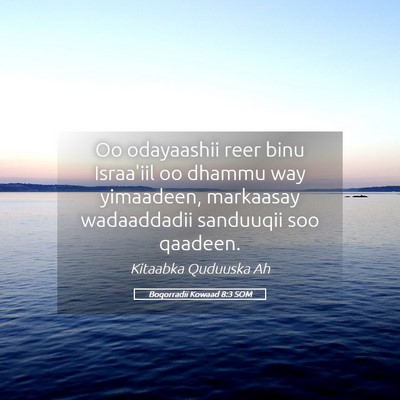 Picture 05 - Boqorradii Kowaad 8:3 SOM - Oo odayaashii reer binu Israa'iil oo dhammu way - Bible Verse Picture