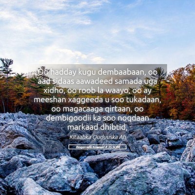 Picture 05 - Boqorradii Kowaad 8:35 SOM - Oo hadday kugu dembaabaan, oo aad sidaas aawadeed - Bible Verse Picture