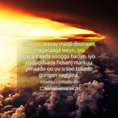 Picture 05 - Boqorradii Kowaad 8:42 SOM - (waayo, waxay maqli doonaan magacaaga weyn, iyo - Bible Verse Picture