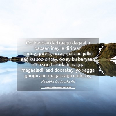 Picture 05 - Boqorradii Kowaad 8:44 SOM - Oo hadday dadkaagu dagaal u baxaan inay la - Bible Verse Picture