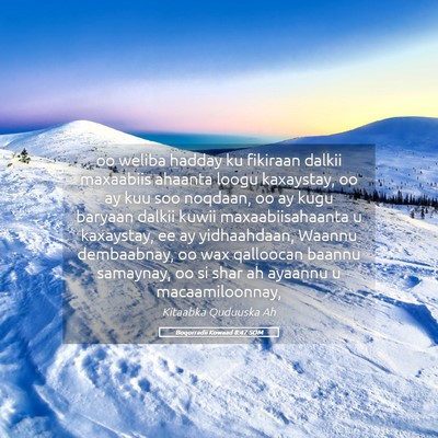 Picture 05 - Boqorradii Kowaad 8:47 SOM - oo weliba hadday ku fikiraan dalkii maxaabiis - Bible Verse Picture
