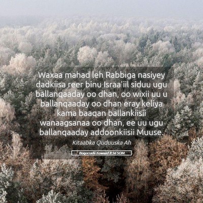 Picture 05 - Boqorradii Kowaad 8:56 SOM - Waxaa mahad leh Rabbiga nasiyey dadkiisa reer - Bible Verse Picture