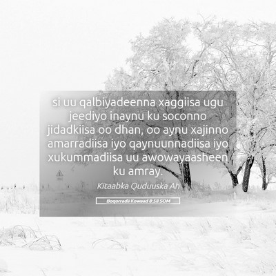 Picture 05 - Boqorradii Kowaad 8:58 SOM - si uu qalbiyadeenna xaggiisa ugu jeediyo inaynu - Bible Verse Picture