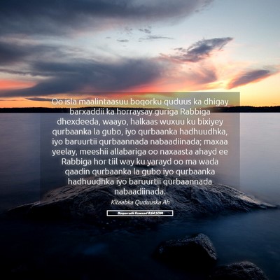 Picture 05 - Boqorradii Kowaad 8:64 SOM - Oo isla maalintaasuu boqorku quduus ka dhigay - Bible Verse Picture
