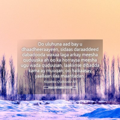 Picture 05 - Boqorradii Kowaad 8:8 SOM - Oo uluhuna aad bay u dhaadheeraayeen, sidaas - Bible Verse Picture