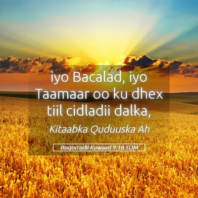 Picture 05 - Boqorradii Kowaad 9:18 SOM - iyo Bacalad, iyo Taamaar oo ku dhex tiil cidladii - Bible Verse Picture