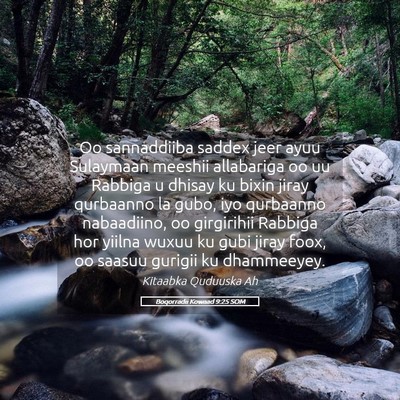 Picture 05 - Boqorradii Kowaad 9:25 SOM - Oo sannaddiiba saddex jeer ayuu Sulaymaan meeshii - Bible Verse Picture