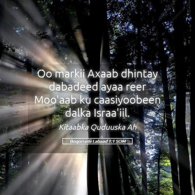 Picture 05 - Boqorradii Labaad 1:1 SOM - Oo markii Axaab dhintay dabadeed ayaa reer - Bible Verse Picture