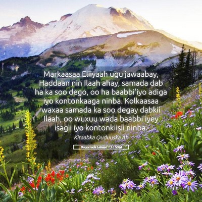 Picture 05 - Boqorradii Labaad 1:12 SOM - Markaasaa Eliiyaah ugu jawaabay, Haddaan nin - Bible Verse Picture