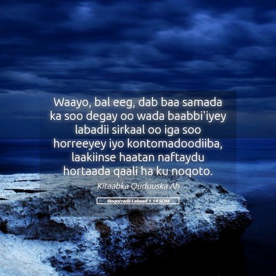 Picture 05 - Boqorradii Labaad 1:14 SOM - Waayo, bal eeg, dab baa samada ka soo degay oo - Bible Verse Picture
